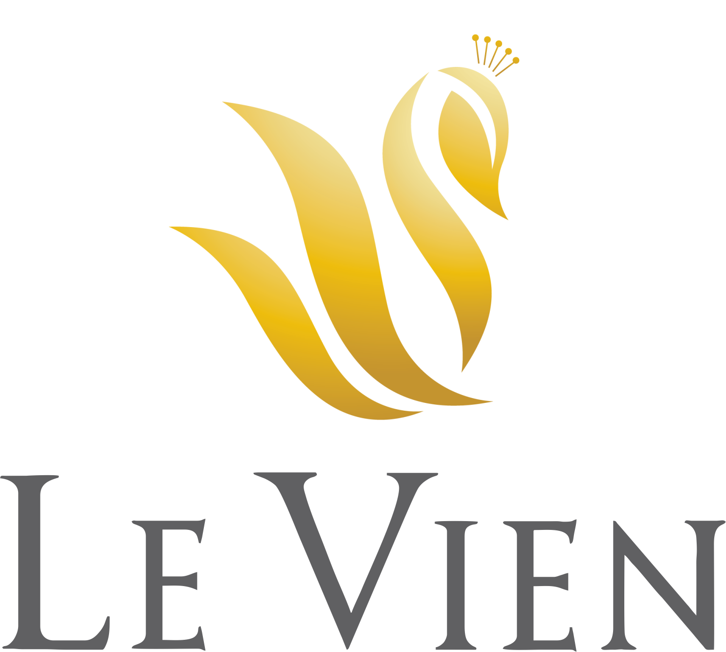 Levien Privilege